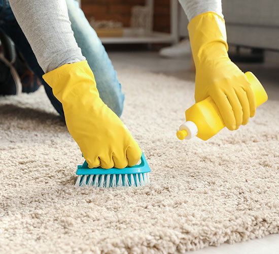 Local area rug cleaning service in Dublin CA