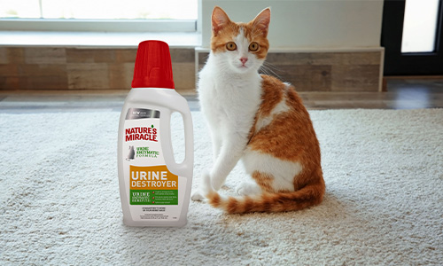 Enzyme Cleaner for carpet cleaning