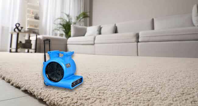 Air dryer on carpet