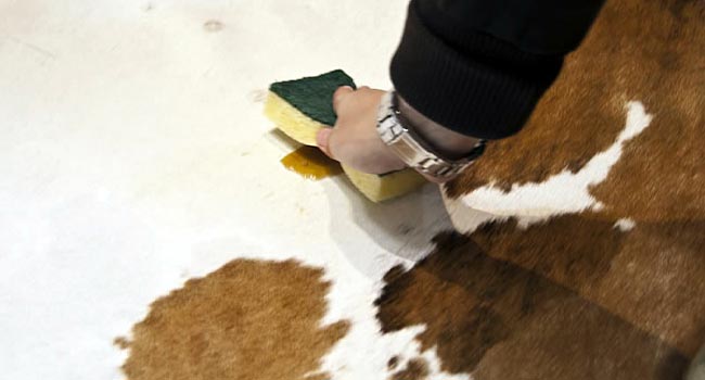 Brushing cowhide rugs