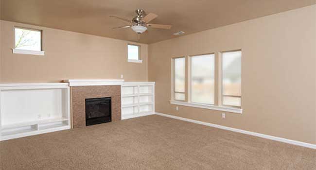 Using Electric Fan to dry carpet