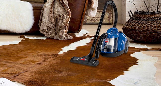 Vacuum Cowhide rug