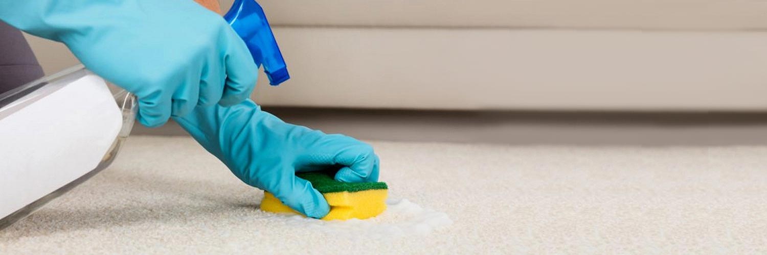 Carpet Cleaning