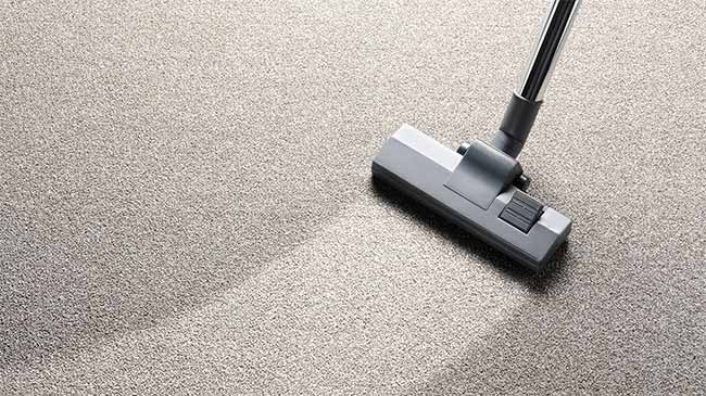 Cleaning Carpet