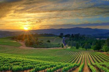 Sonoma County